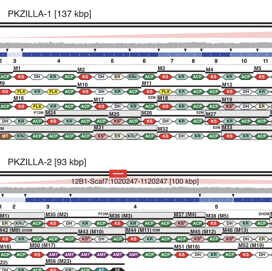 figure from Fallon et al. 2024
